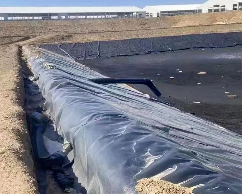 HDPE Geomembrane Pond Liner (3).webp